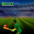 Cricket Batter Challenge